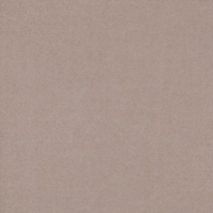 Gạch lát sàn Trường Thịnh COOLSTONE C6120